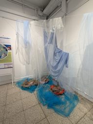 Img 1011 2 2
